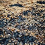 Ein Strandspaziergang: Über Vertrauen, Fokus & Fülle